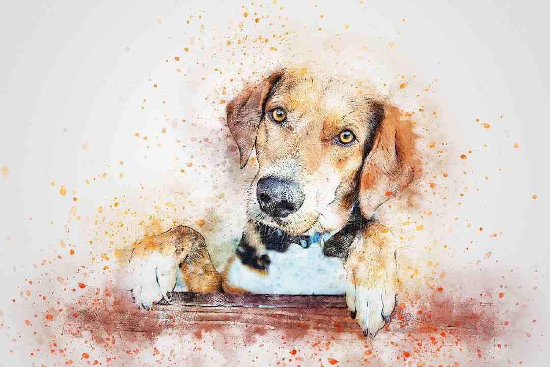 Hand-Painted Pet Painting Portraits On Canvas – Learn More Today