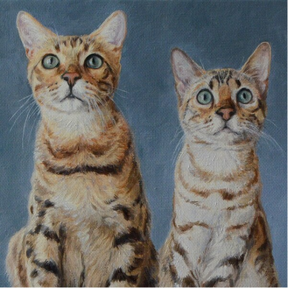 Custom Cat Paintings for Pet Lovers,Capturing Feline Majesty