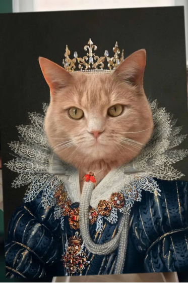 personalized cat portrait

