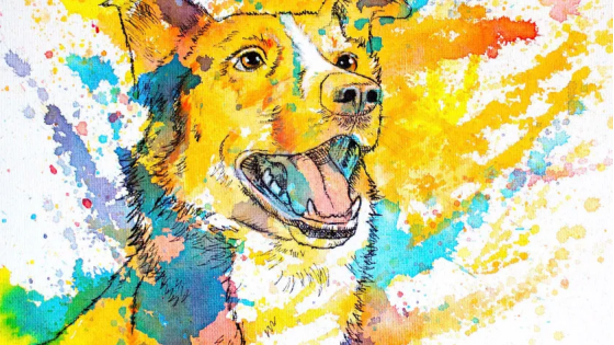 custom dog portraits canvas
