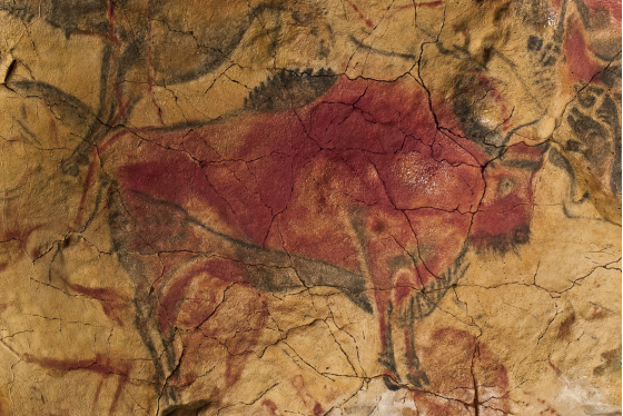 Via buying cave art reproductions and canvas prints,knowing prehistoric art